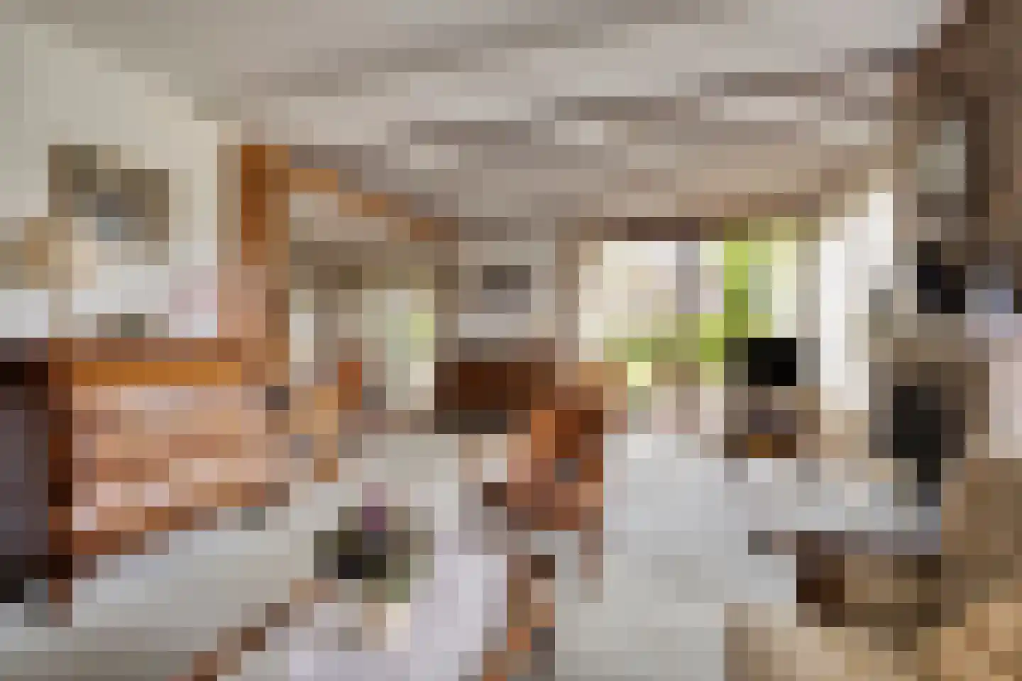 Deventerweg 23 Laren thumbnail 12