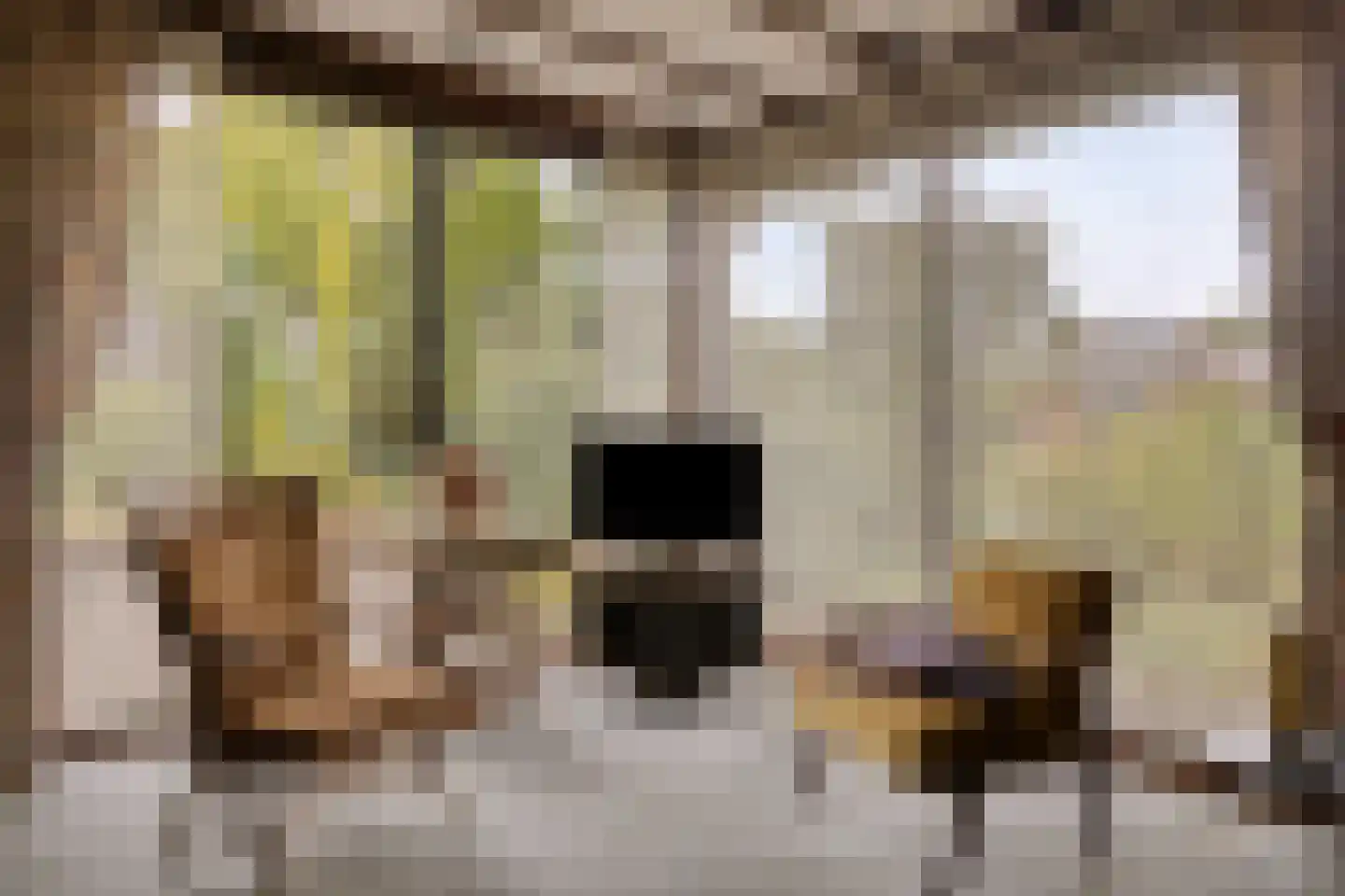 Deventerweg 23 Laren thumbnail 13