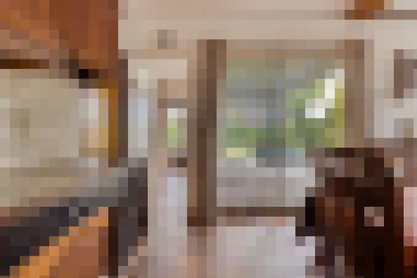 Deventerweg 23 Laren thumbnail 18