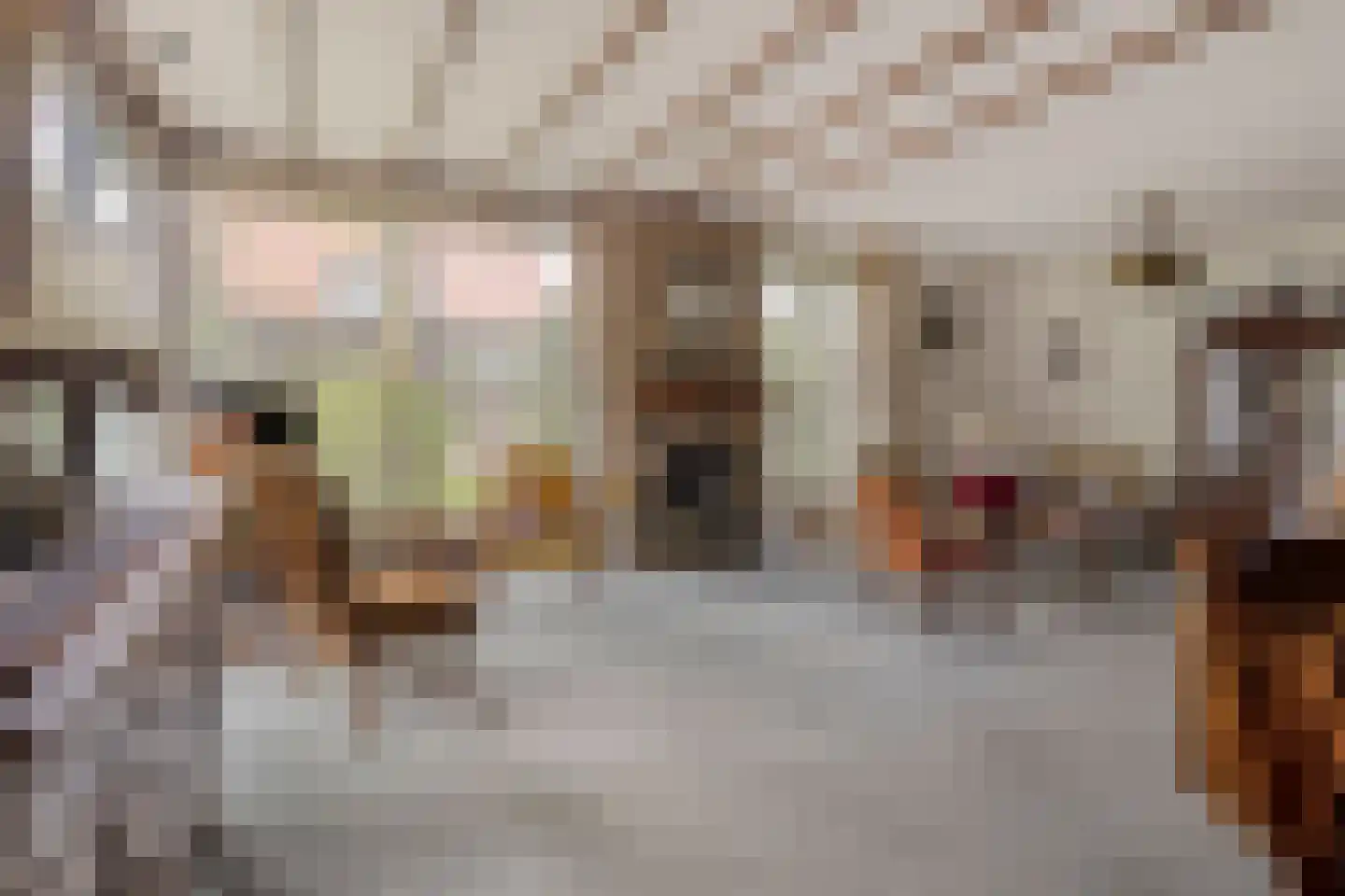 Deventerweg 23 Laren thumbnail 21