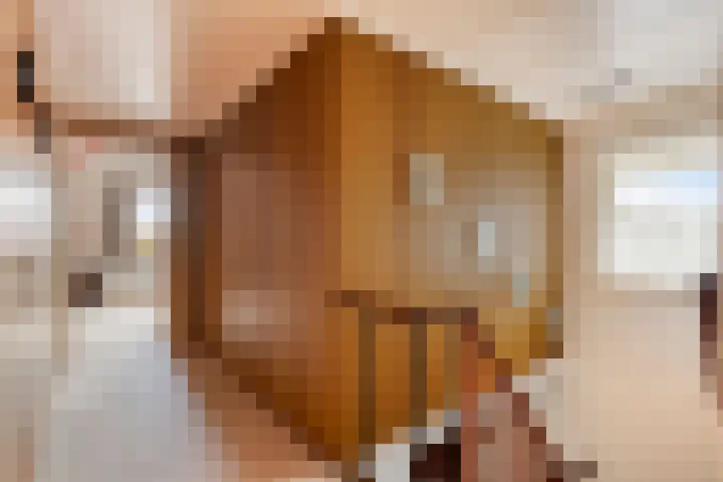 Deventerweg 23 Laren thumbnail 29