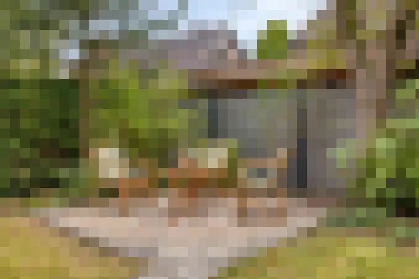 Deventerweg 23 Laren thumbnail 41