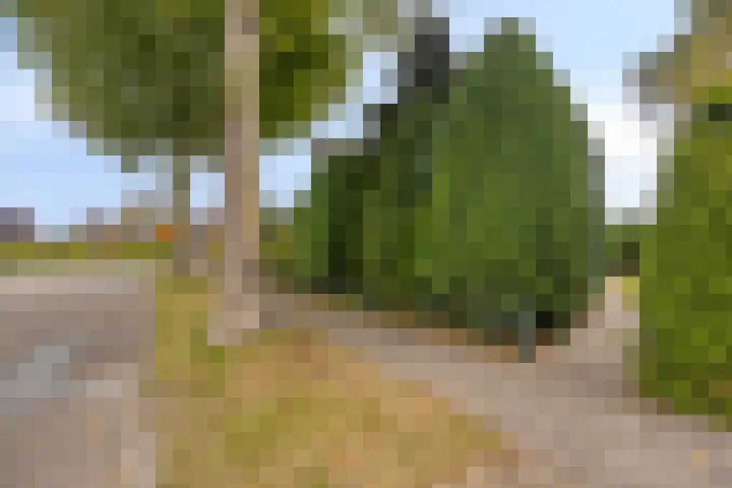 Deventerweg 23 Laren thumbnail 43
