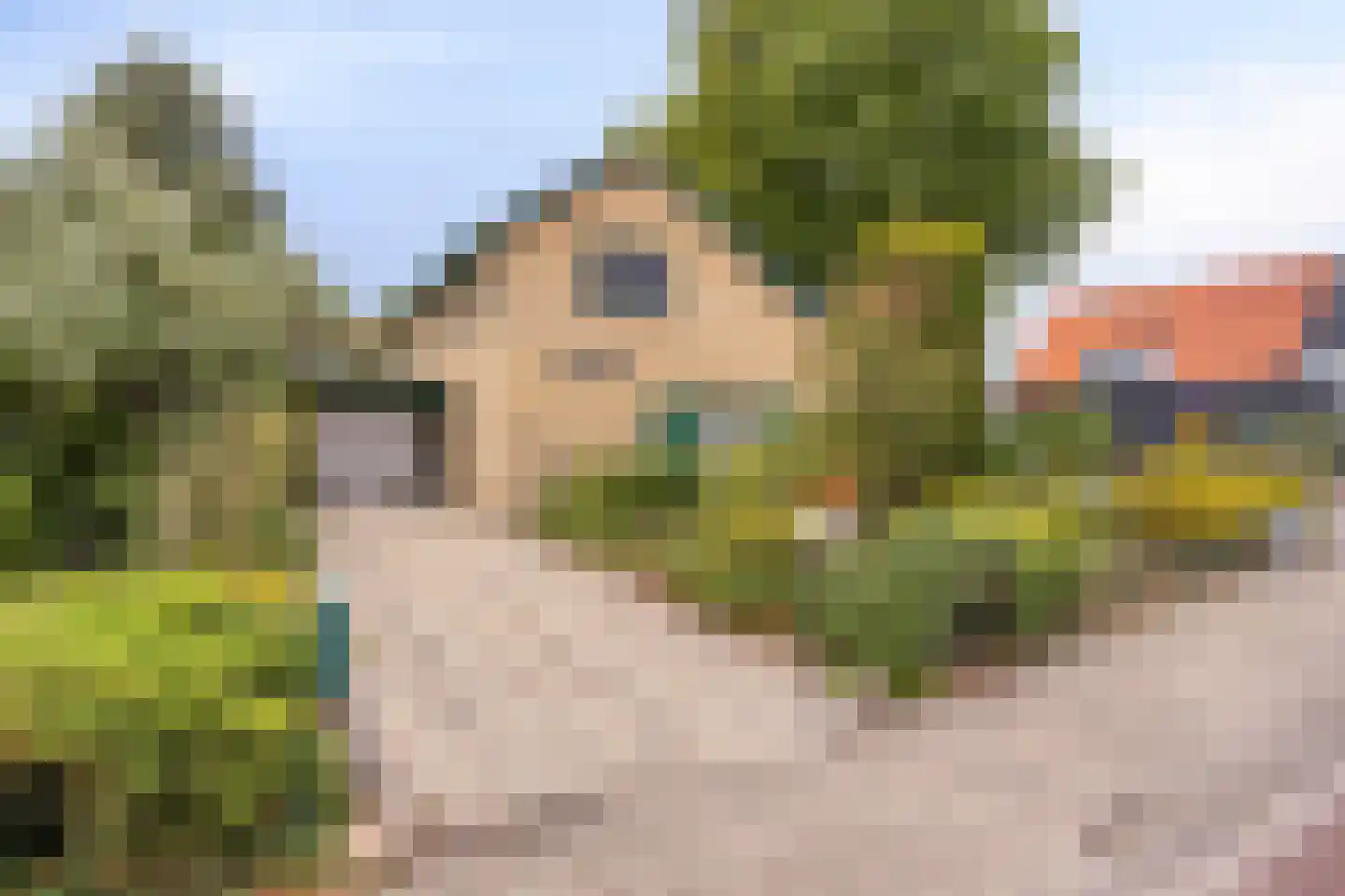 Deventerweg 23 Laren thumbnail 44
