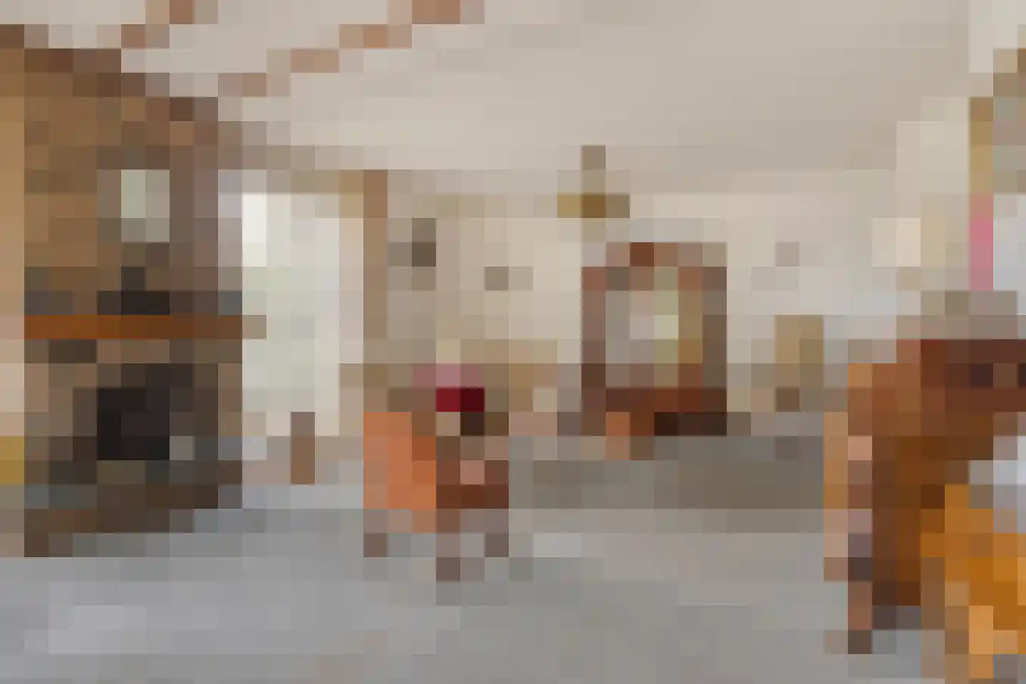 Deventerweg 23 Laren thumbnail 9