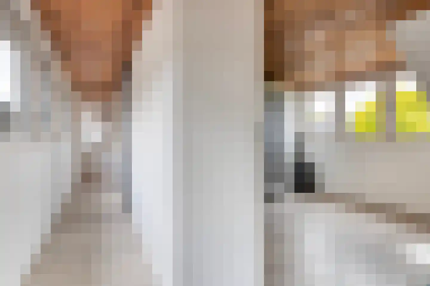 Deventerweg 25 Bathmen thumbnail 16