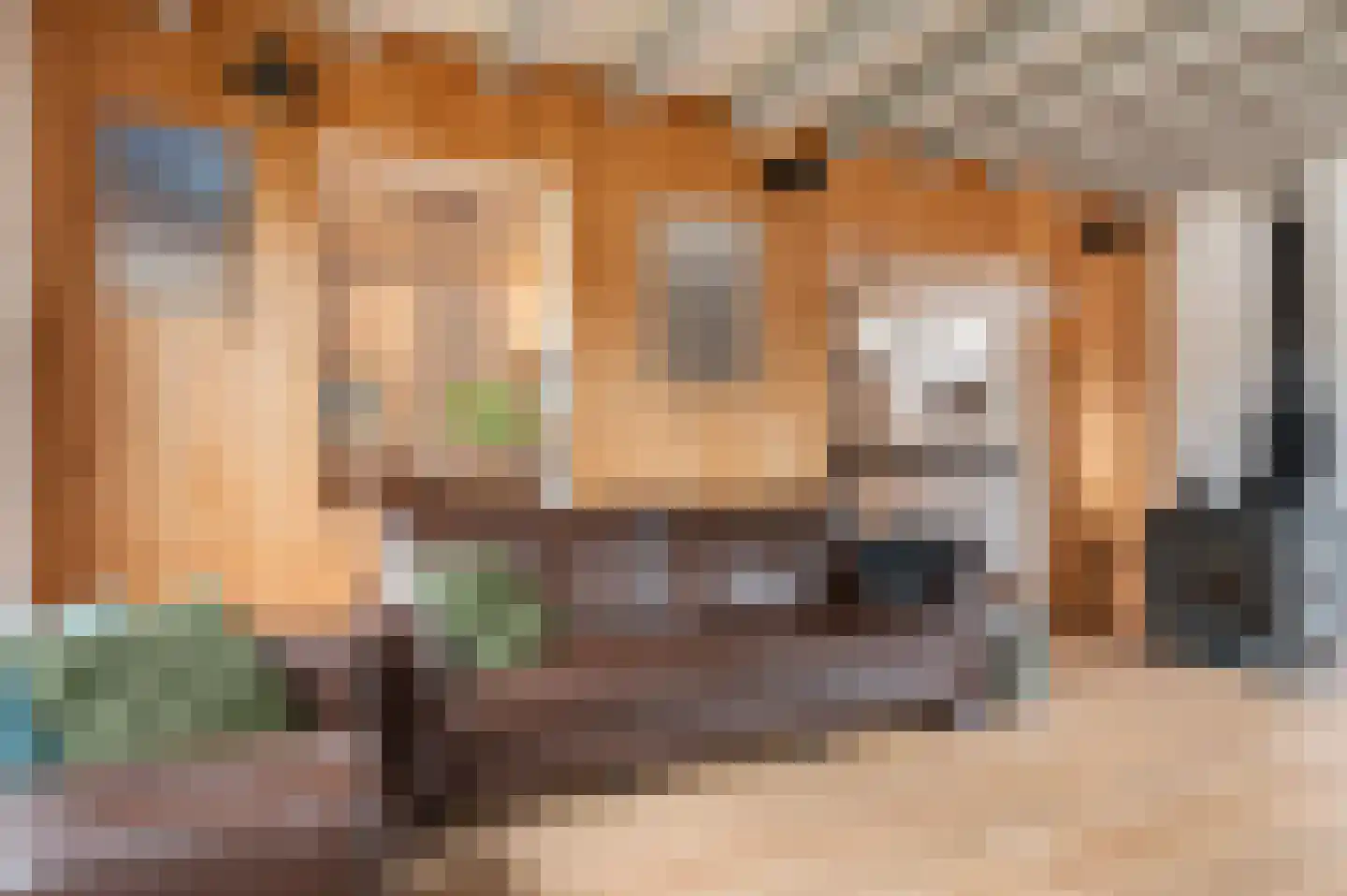 Deventerweg 25 Bathmen thumbnail 6