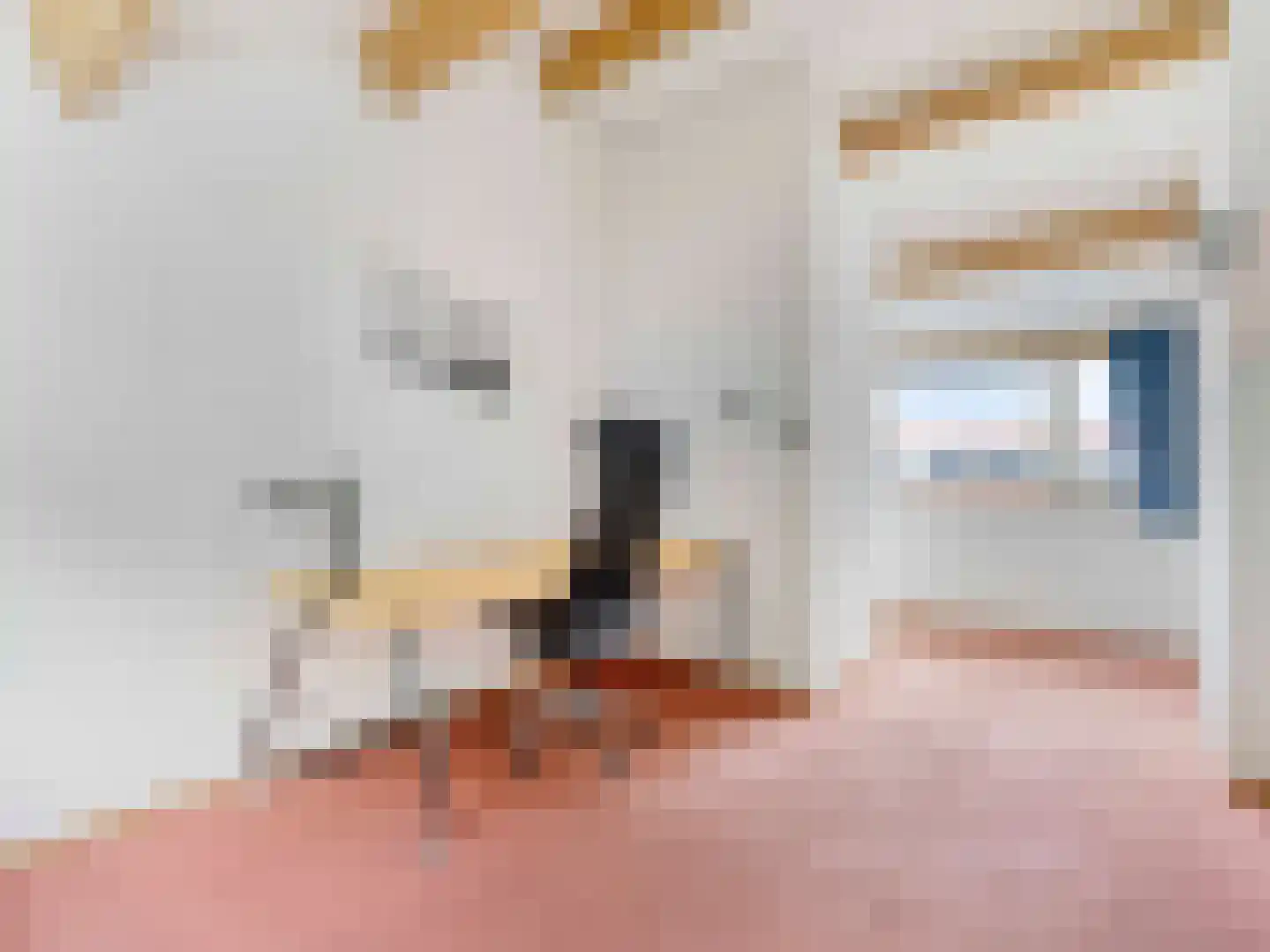 Deventerweg 29 Harderwijk thumbnail 28