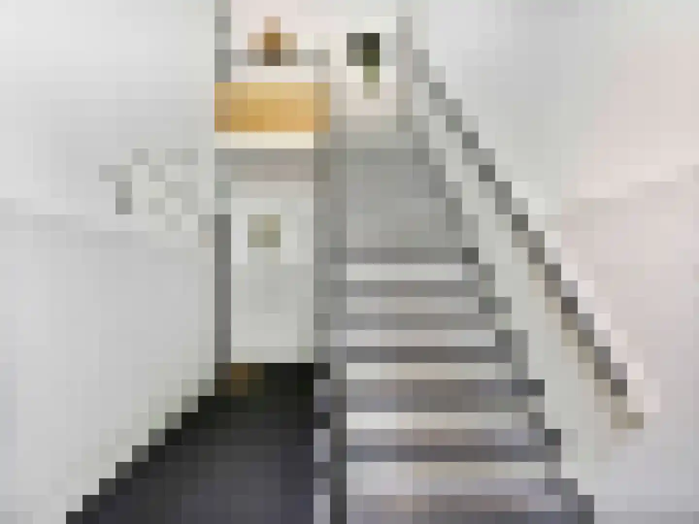Deventerweg 29 Harderwijk thumbnail 4