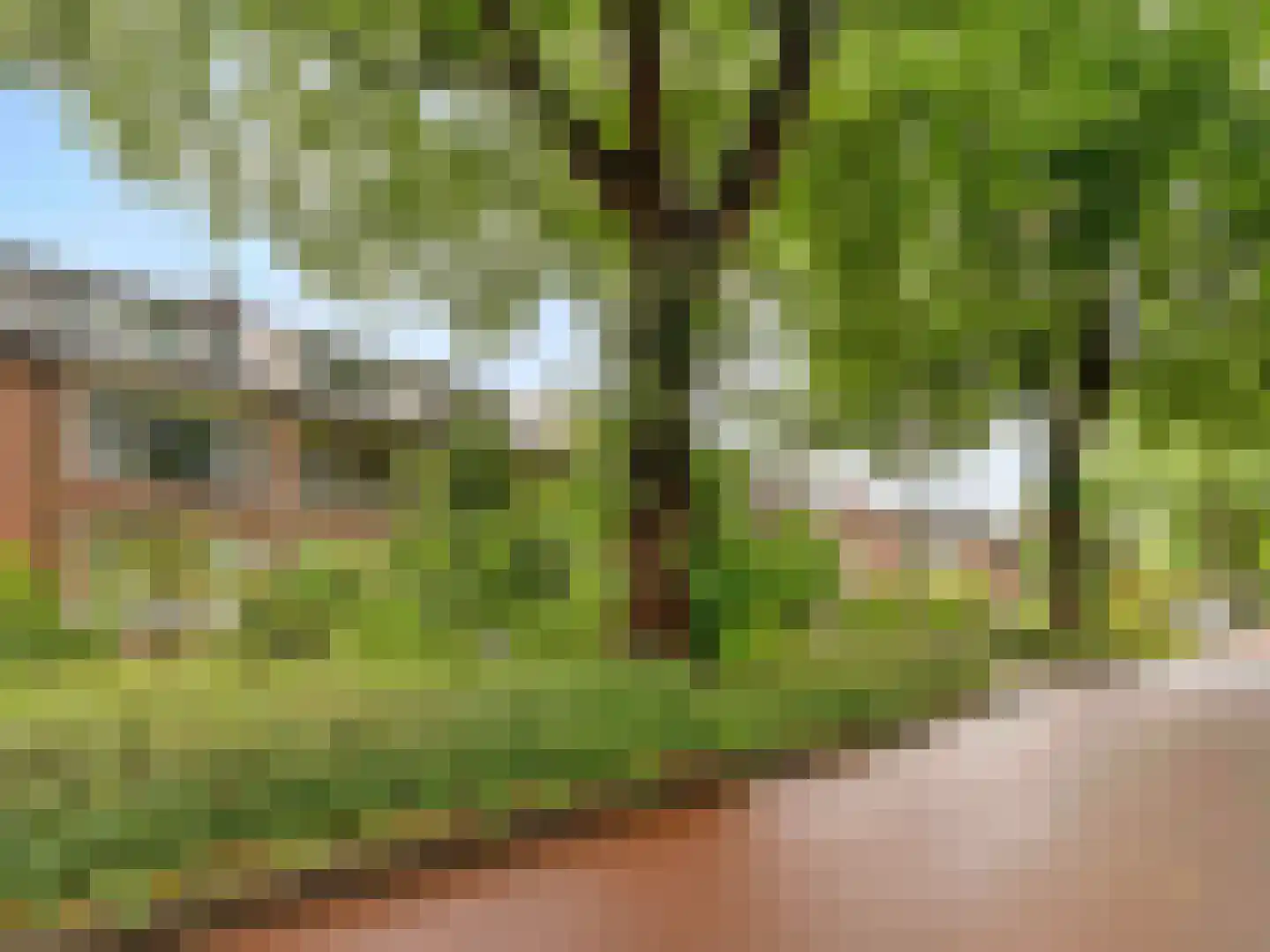 Deventerweg 29 Harderwijk thumbnail 40