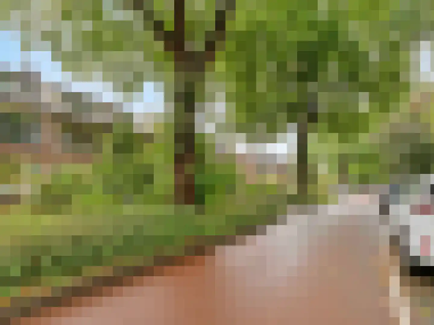 Deventerweg 29 Harderwijk thumbnail 47