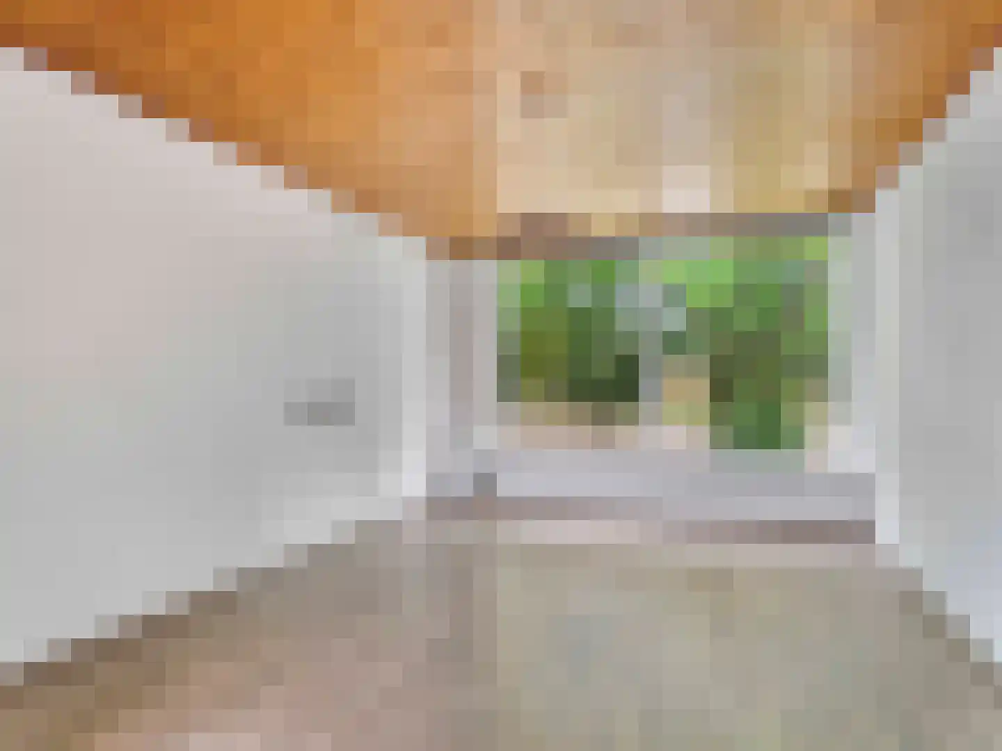 Deventerweg 29 Harderwijk thumbnail 9