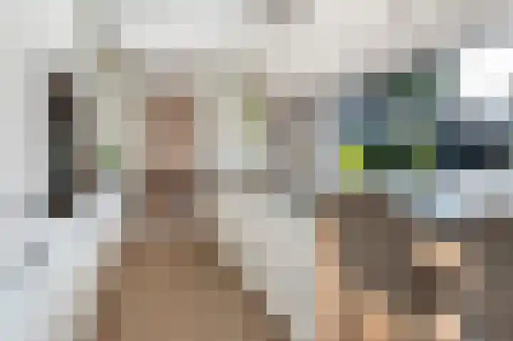 Deventerweg 31 Bathmen thumbnail 11