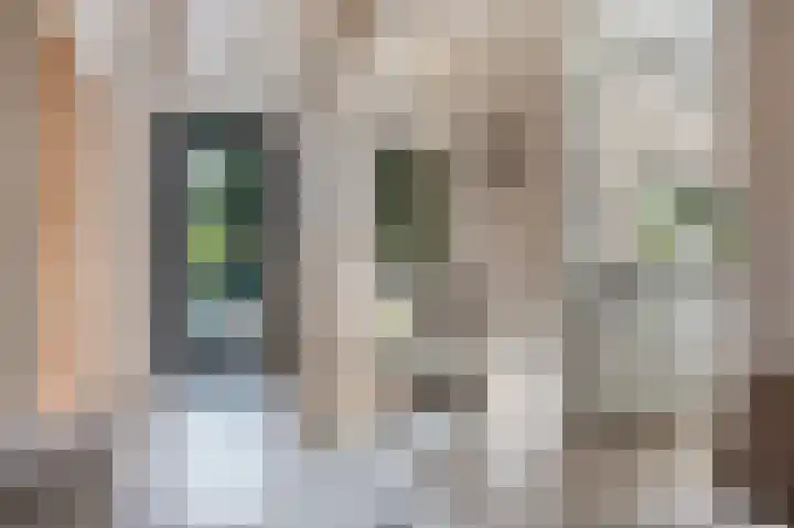 Deventerweg 31 Bathmen thumbnail 14