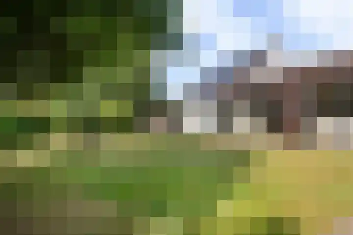 Deventerweg 31 Bathmen thumbnail 29