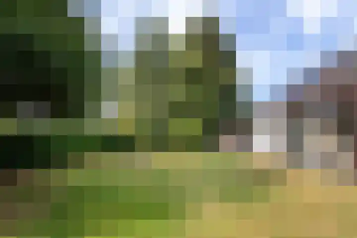 Deventerweg 31 Bathmen thumbnail 30
