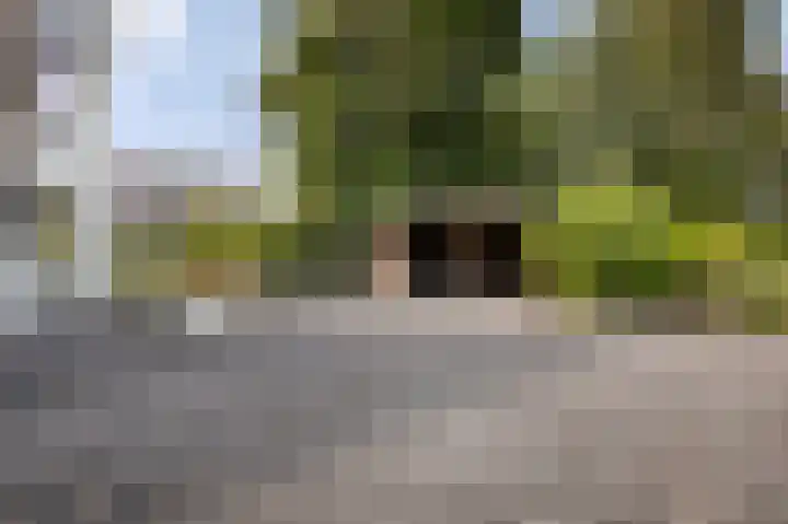 Deventerweg 31 Bathmen thumbnail 33