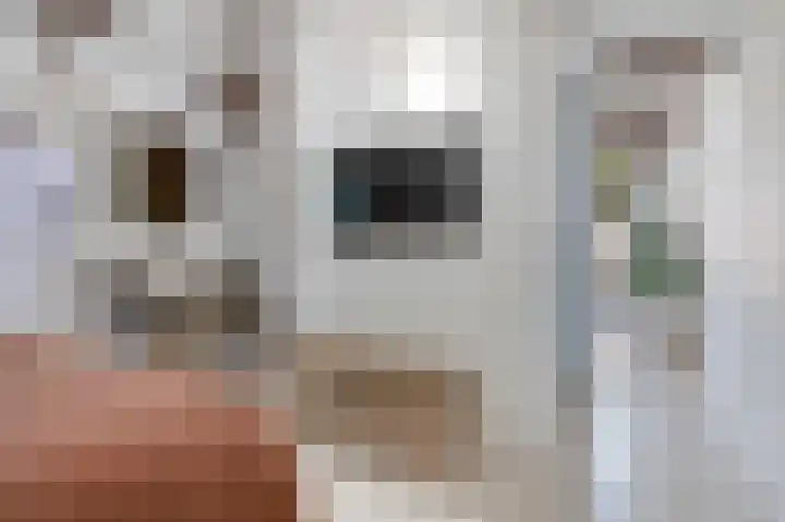 Deventerweg 31 Bathmen thumbnail 38