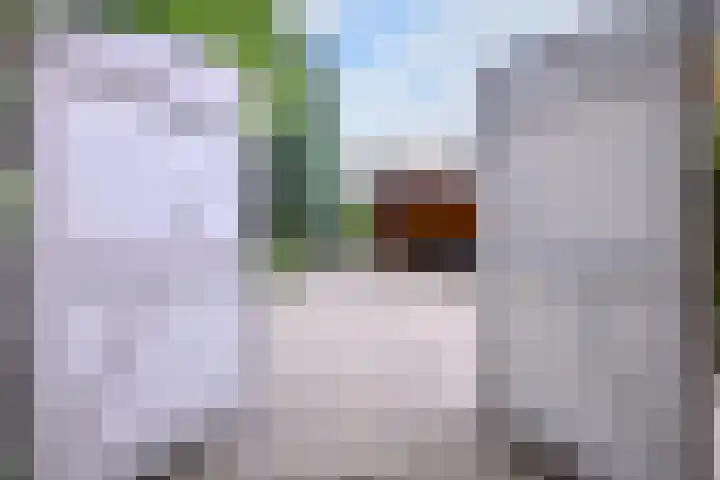 Deventerweg 34 Bathmen thumbnail 27