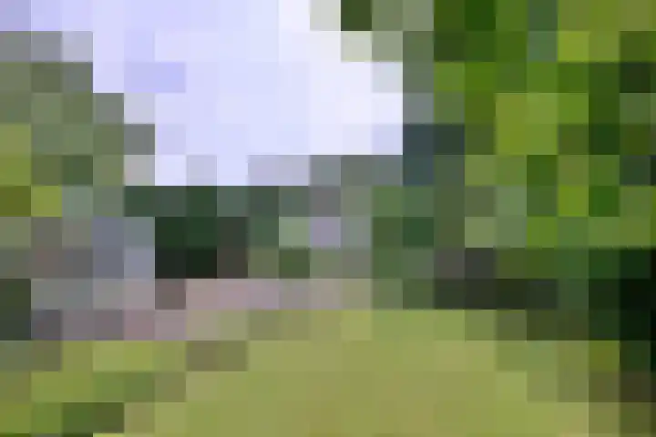 Deventerweg 34 Bathmen thumbnail 30