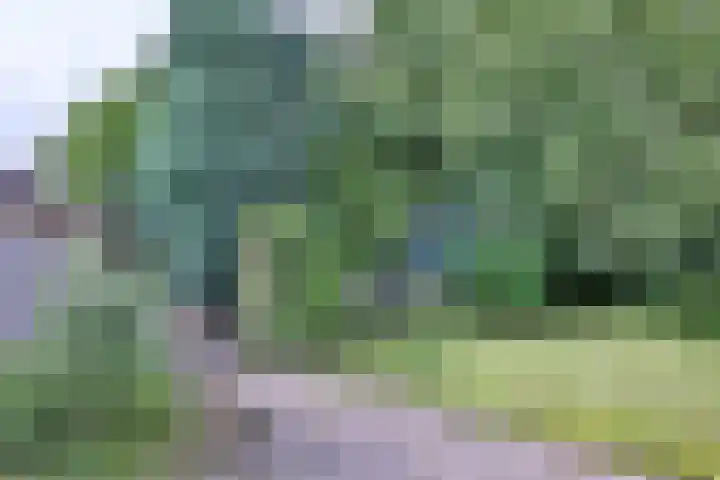Deventerweg 34 Bathmen thumbnail 31