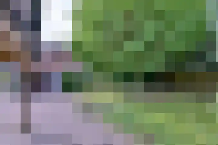Deventerweg 34 Bathmen thumbnail 34