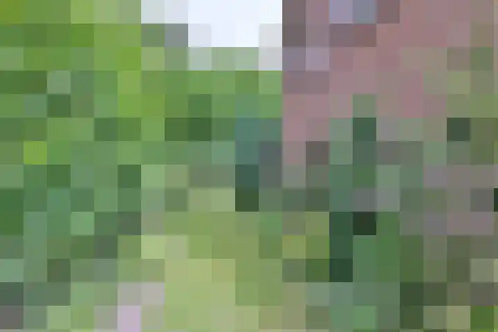 Deventerweg 34 Bathmen thumbnail 36