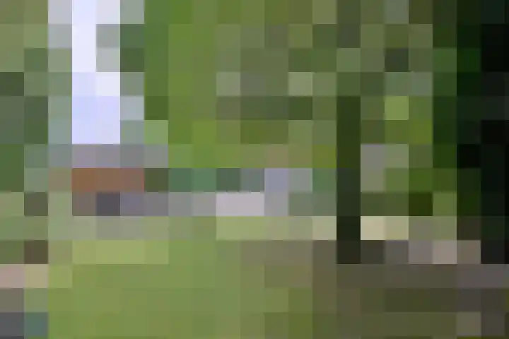 Deventerweg 34 Bathmen thumbnail 37