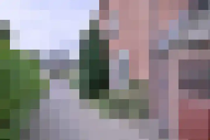 Deventerweg 34 Bathmen thumbnail 38