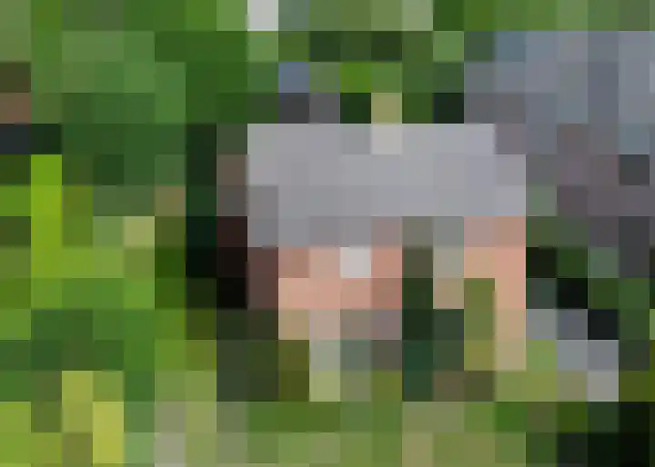 Deventerweg 34 Bathmen thumbnail 39