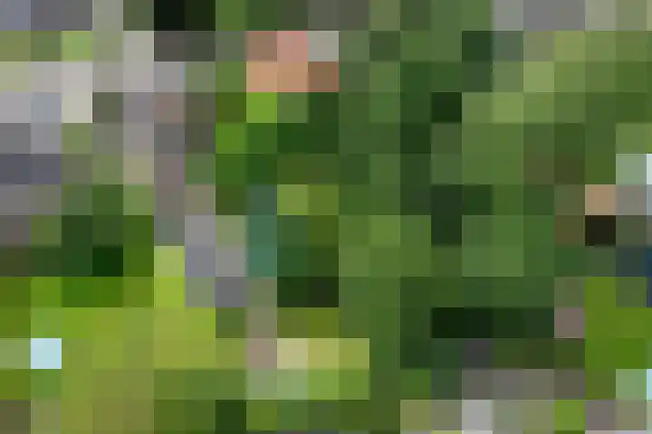 Deventerweg 34 Bathmen thumbnail 41