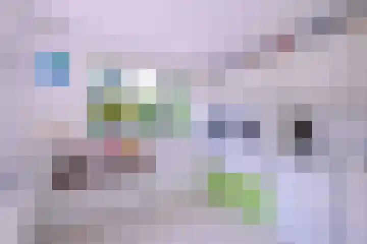Deventerweg 35 Gorssel thumbnail 17
