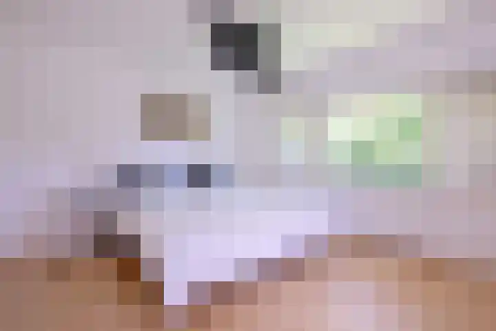 Deventerweg 35 Gorssel thumbnail 24