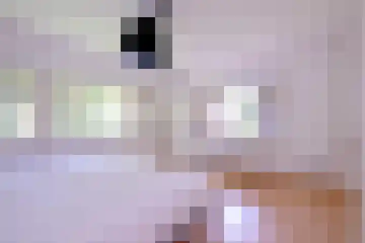 Deventerweg 35 Gorssel thumbnail 25