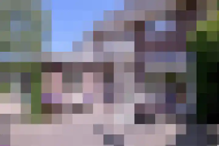 Deventerweg 35 Gorssel thumbnail 36