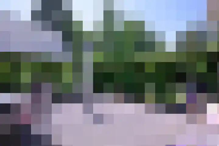 Deventerweg 35 Gorssel thumbnail 37