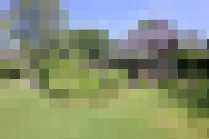 Deventerweg 35 Gorssel thumbnail 38