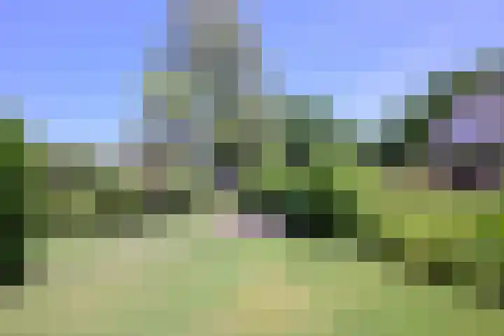 Deventerweg 35 Gorssel thumbnail 41