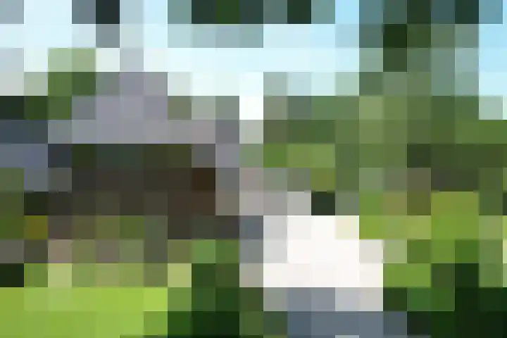 Deventerweg 35 Gorssel thumbnail 47
