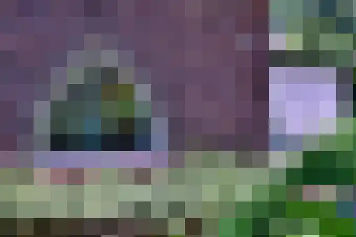 Deventerweg 35 Gorssel thumbnail 5