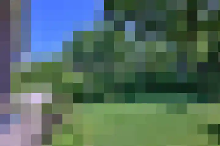 Deventerweg 35 Gorssel thumbnail 6