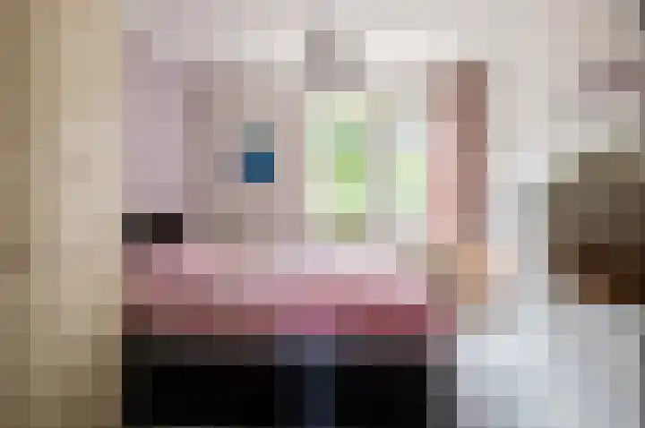 Deventerweg 35 Harderwijk thumbnail 14