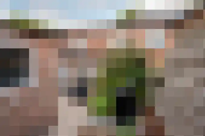 Deventerweg 35 Harderwijk thumbnail 27