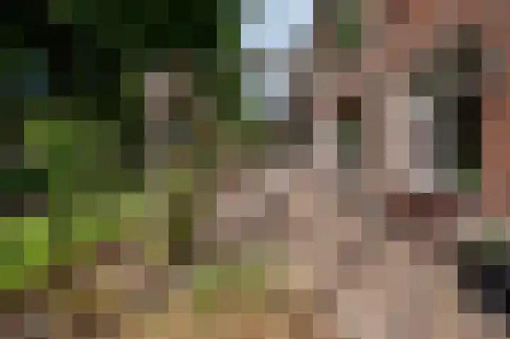 Deventerweg 35 Harderwijk thumbnail 28