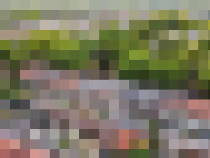 Deventerweg 35 Harderwijk thumbnail 38