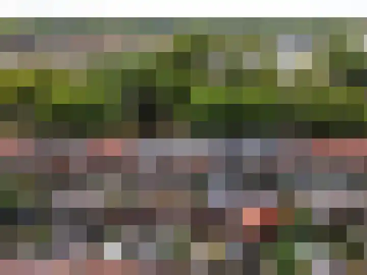 Deventerweg 35 Harderwijk thumbnail 39