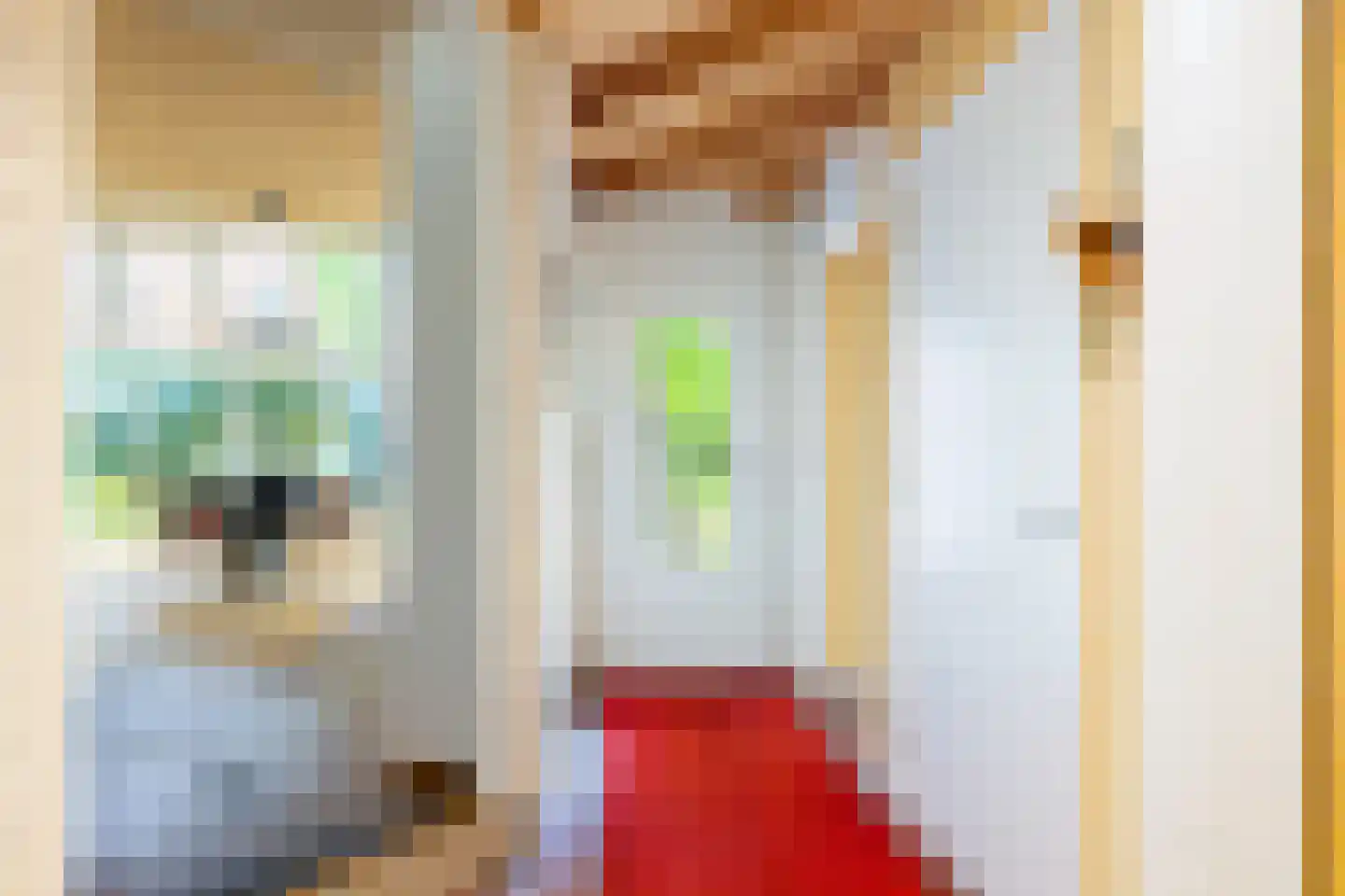 Deventerweg 49 Gorssel thumbnail 19