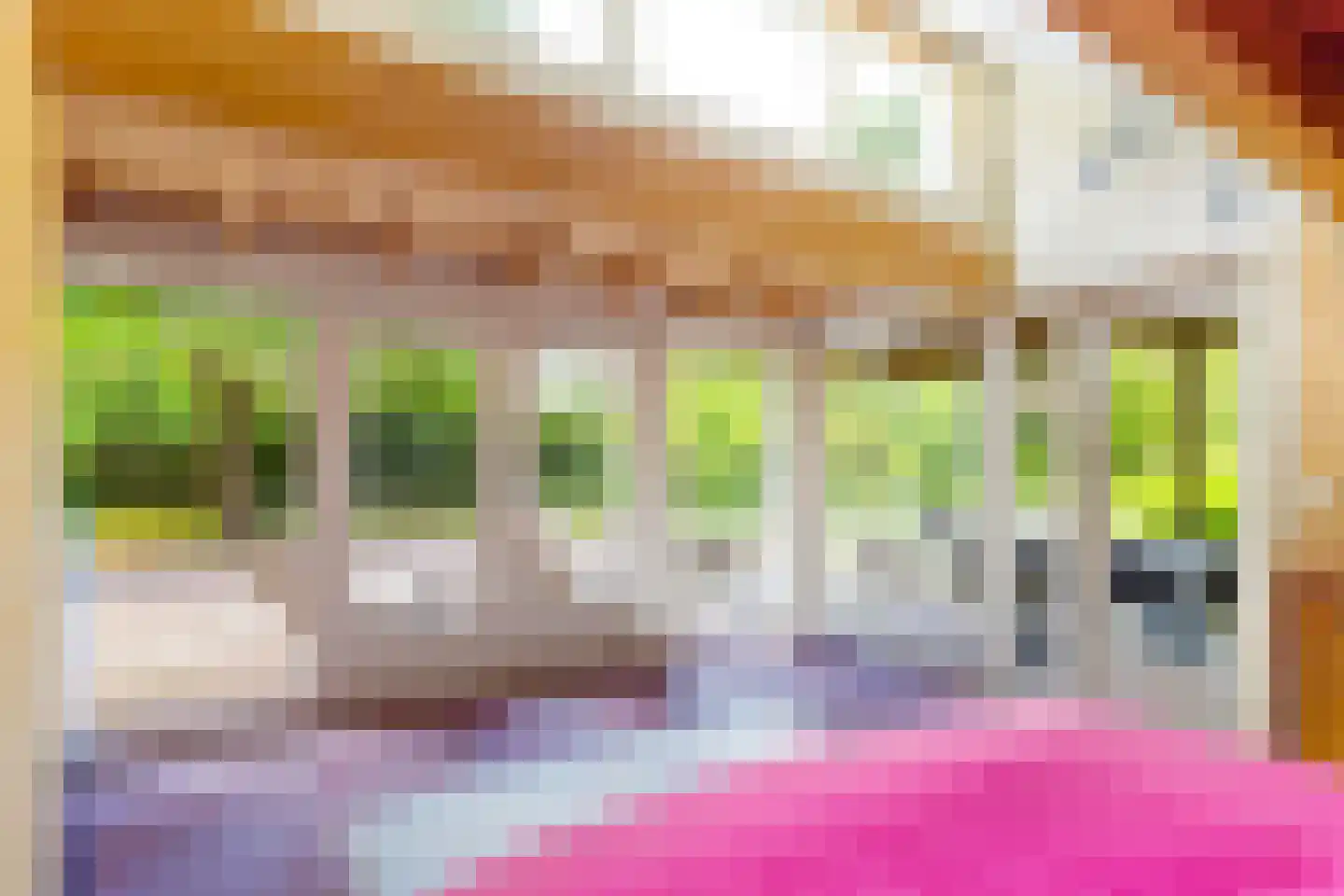Deventerweg 49 Gorssel thumbnail 26