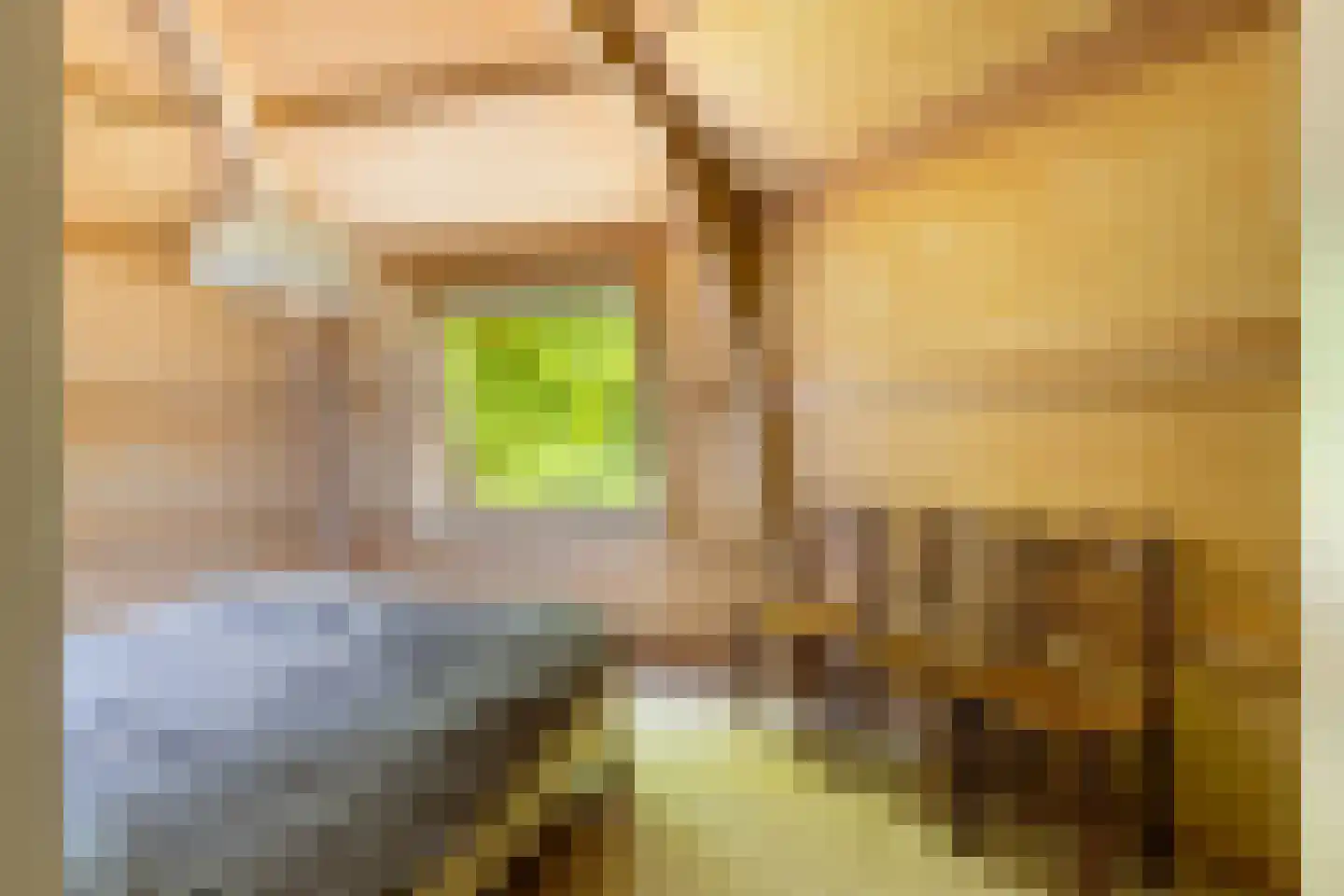 Deventerweg 49 Gorssel thumbnail 35