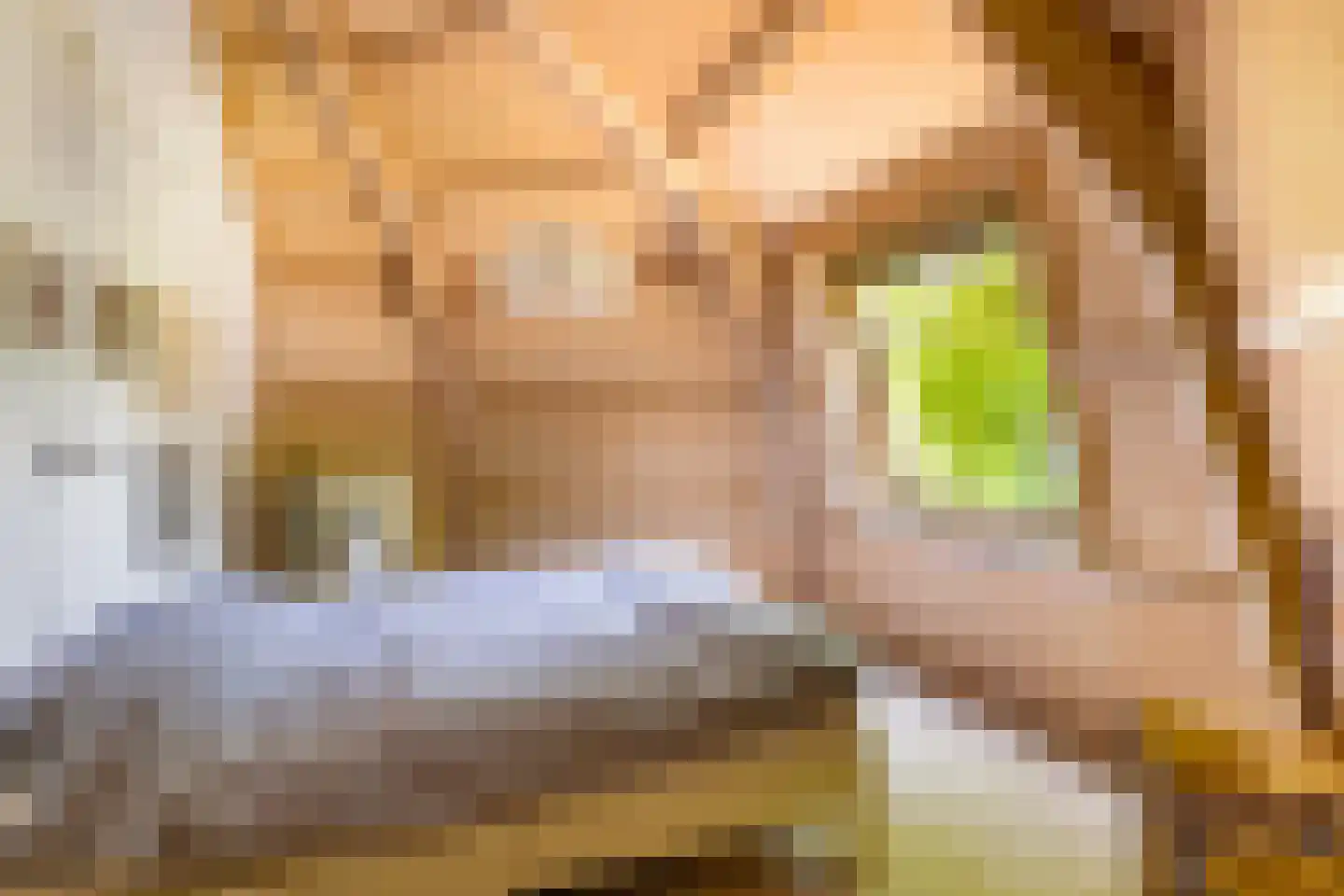 Deventerweg 49 Gorssel thumbnail 36